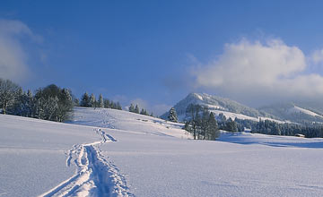 1. Weihnachtsfeiertag im Hessen Hotelpark Hohenroda